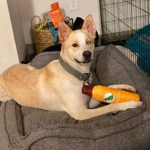 Meet your Posher, Lisa